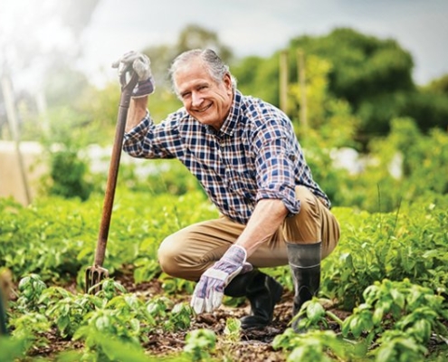 Ricalcolo Pensioni con presenza di contribuzione agricola